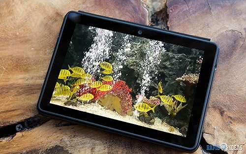 aquário pacífico gratuito HD - decore seu quarto com um belo aquário de vida marinha na sua TV HDR 4