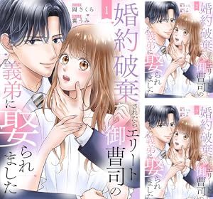 契約婚した冷徹社長は甘くやさしい嘘をつく(1) 契約婚した冷徹社長は甘くやさしい嘘をつく 1【電子書店限定特典