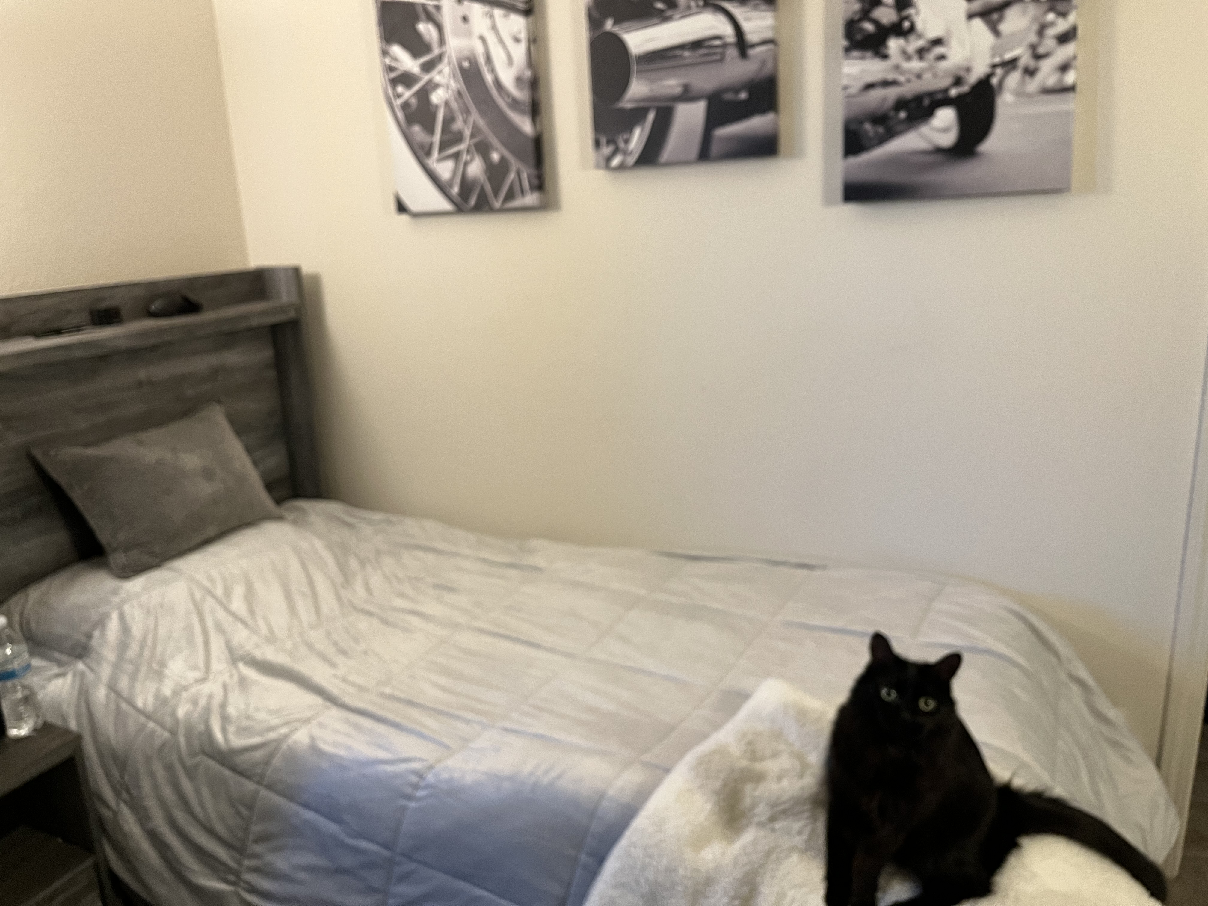Sherpa micromink comforter
