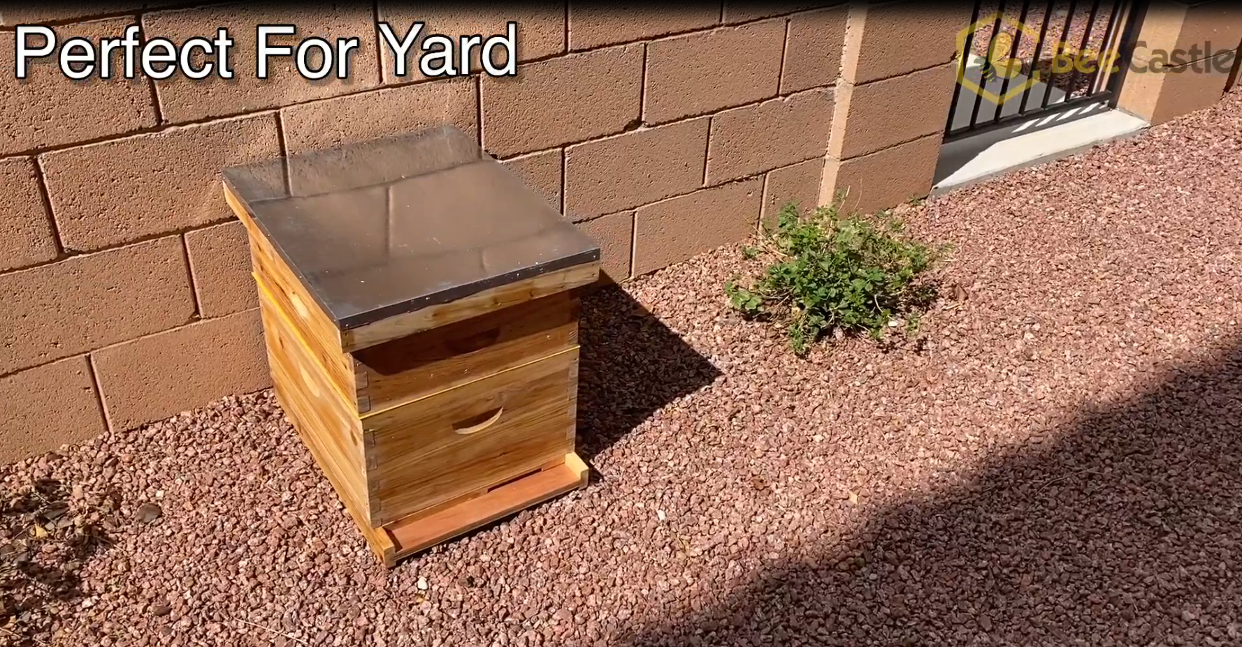 Amazon.com: BeeCastle 8 Frame Langstroth Bee Hive Coated