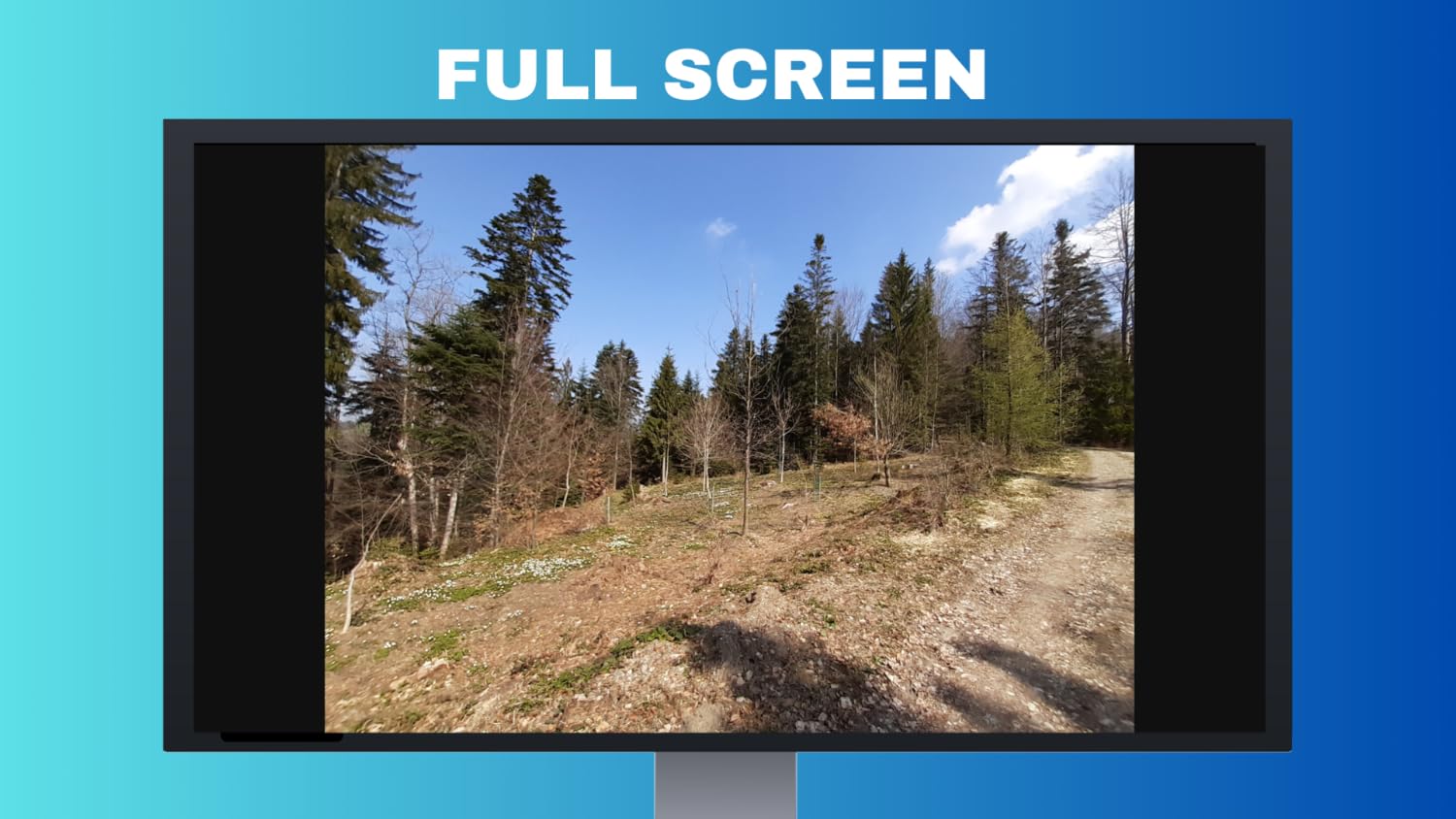 Vue 4
