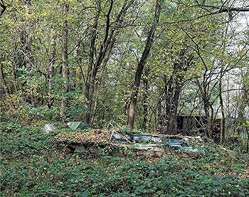 Amazon.com: David McMillan: Growth and Decay: Pripyat and