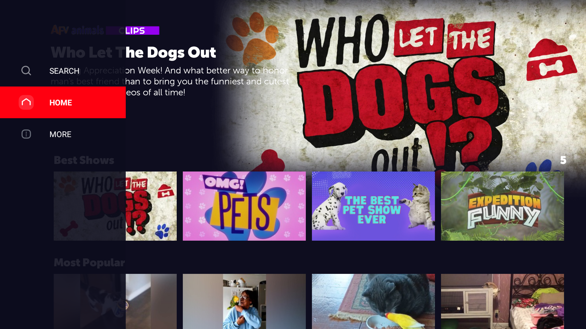 AFV Animals-Animal & Pet Video - App on Amazon Appstore