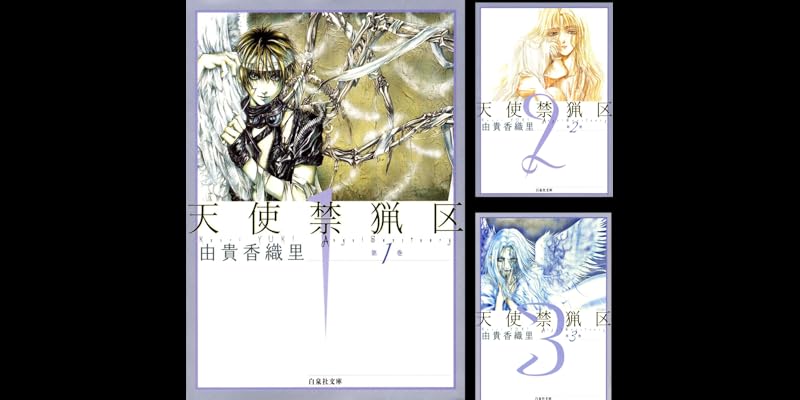 天使禁猟区 全10巻 Kindle版