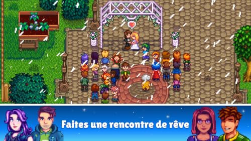 Stardew Valley – vue 6