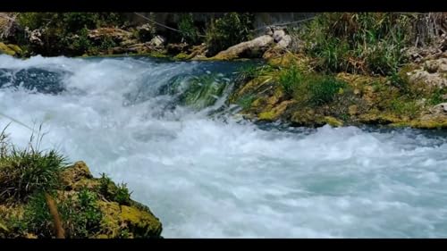 RIVER SCREENSAVER NO ADS
