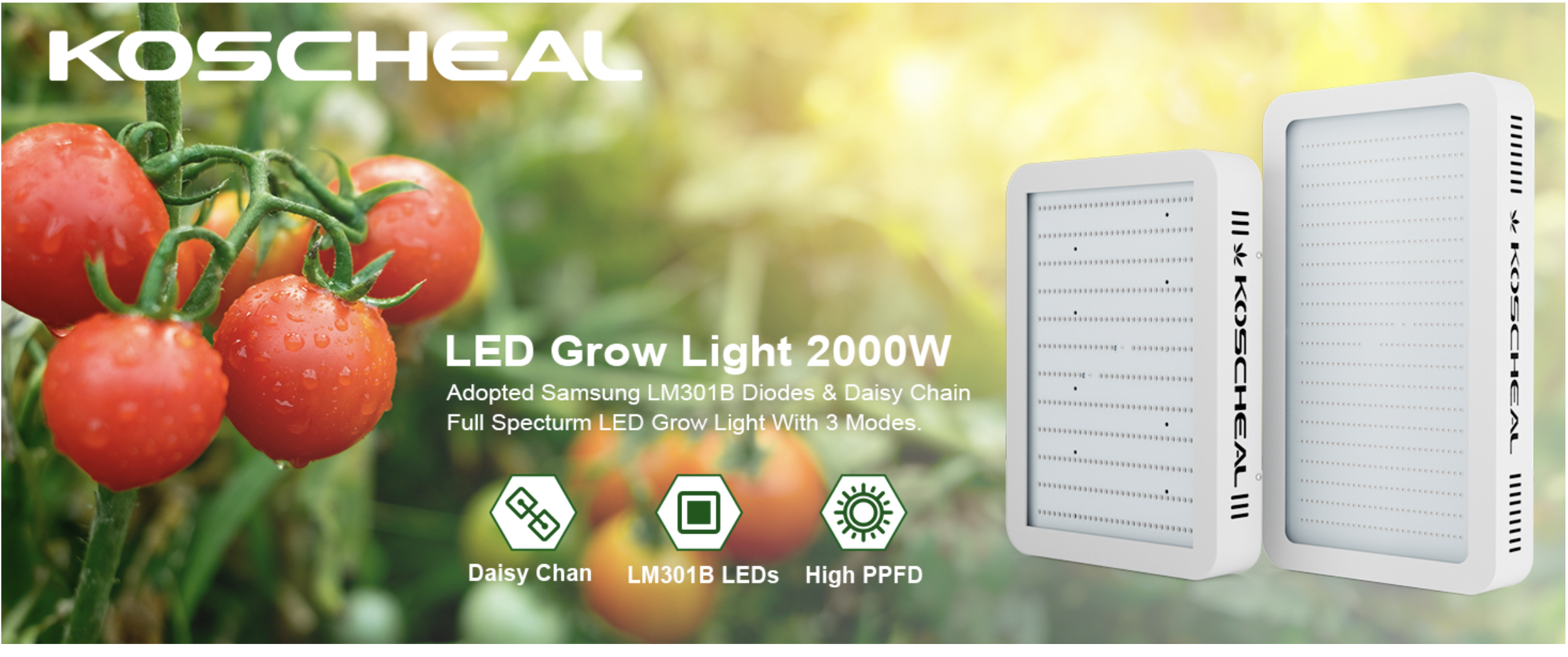 Amazon.com : KOSCHEAL KS2000 230W LED Grow Lights for Indoor