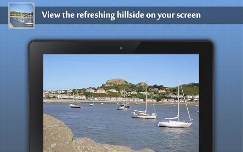 Harbour Boats Hill View