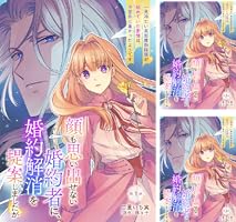 顔も思い出せない婚約者に、婚約解消を提案しましたが ～一見冷たい美形魔術師様が… 顔も思い出せない婚約者に、婚約解消を提案しましたが ～一見冷たい