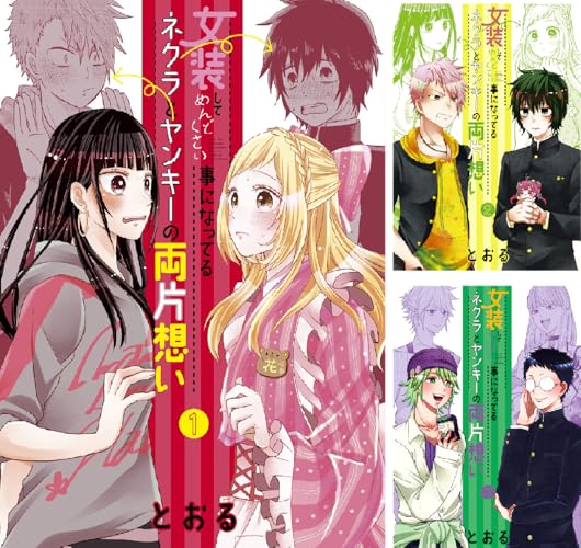 女装してめんどくさい事になってるネクラとヤンキーの両片想い