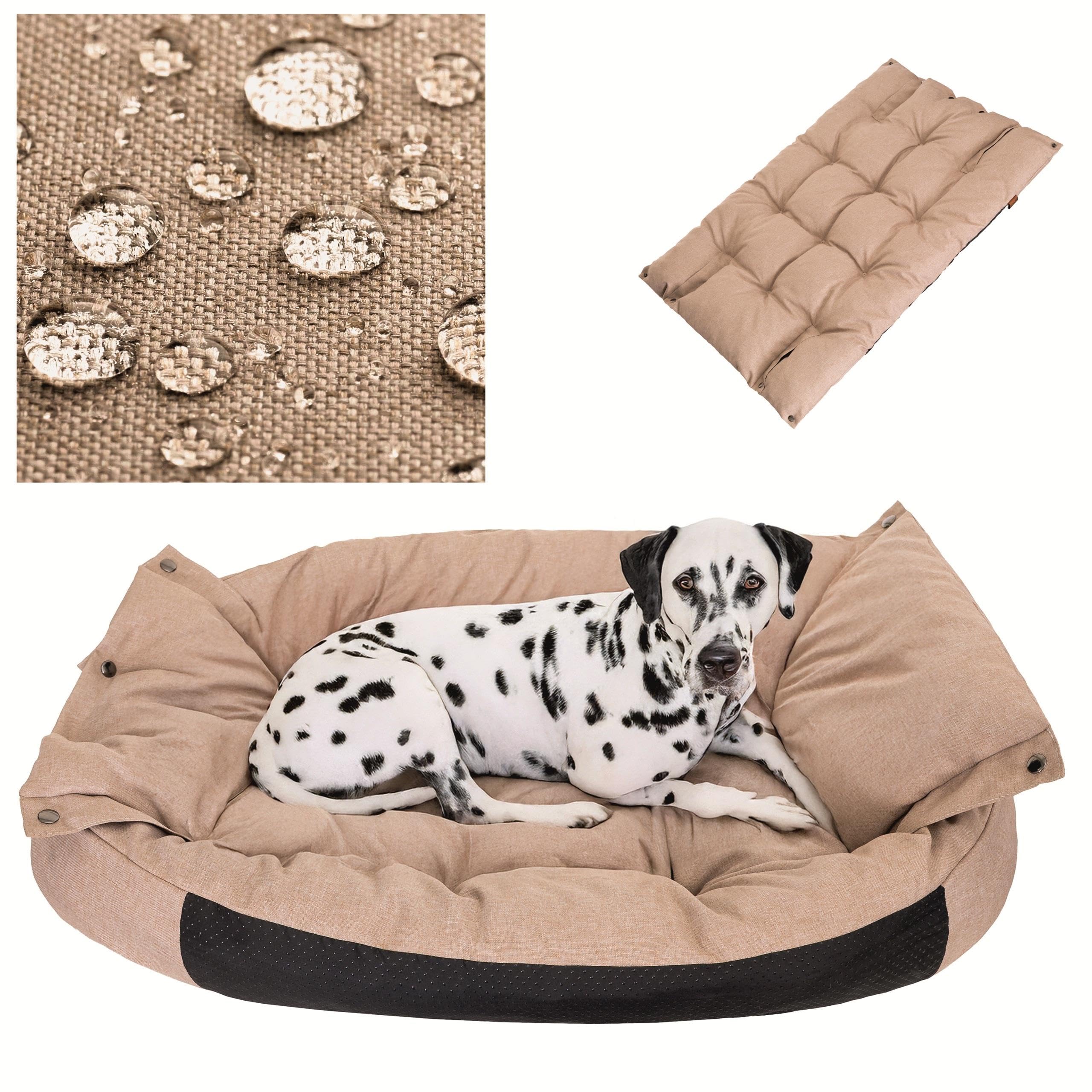 PillowPrim Hundebett & Hundematratze in einem - Hundesofa für kleine und mittelgroße Hunde - leicht zu reinigen - Bequemes Haustierbett - Hundekissen - L 76x56 cm - Beige