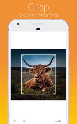 Capture Search - Reverse Image Search
