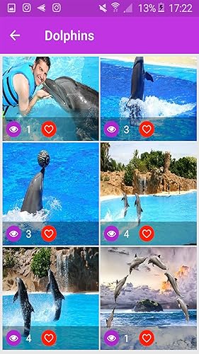 Animal Wallpaper 3D Free 2018