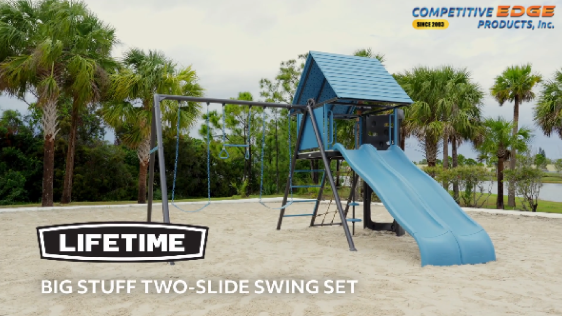 Amazon.com: Lifetime 91382 Playground Double Slide Big Stuff
