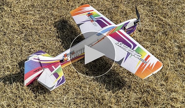 Amazon.com: RC Foam Plane Sbach342 Aerobatic Flying Airplane