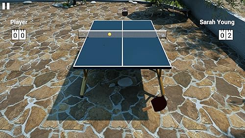 Virtual Table Tennis