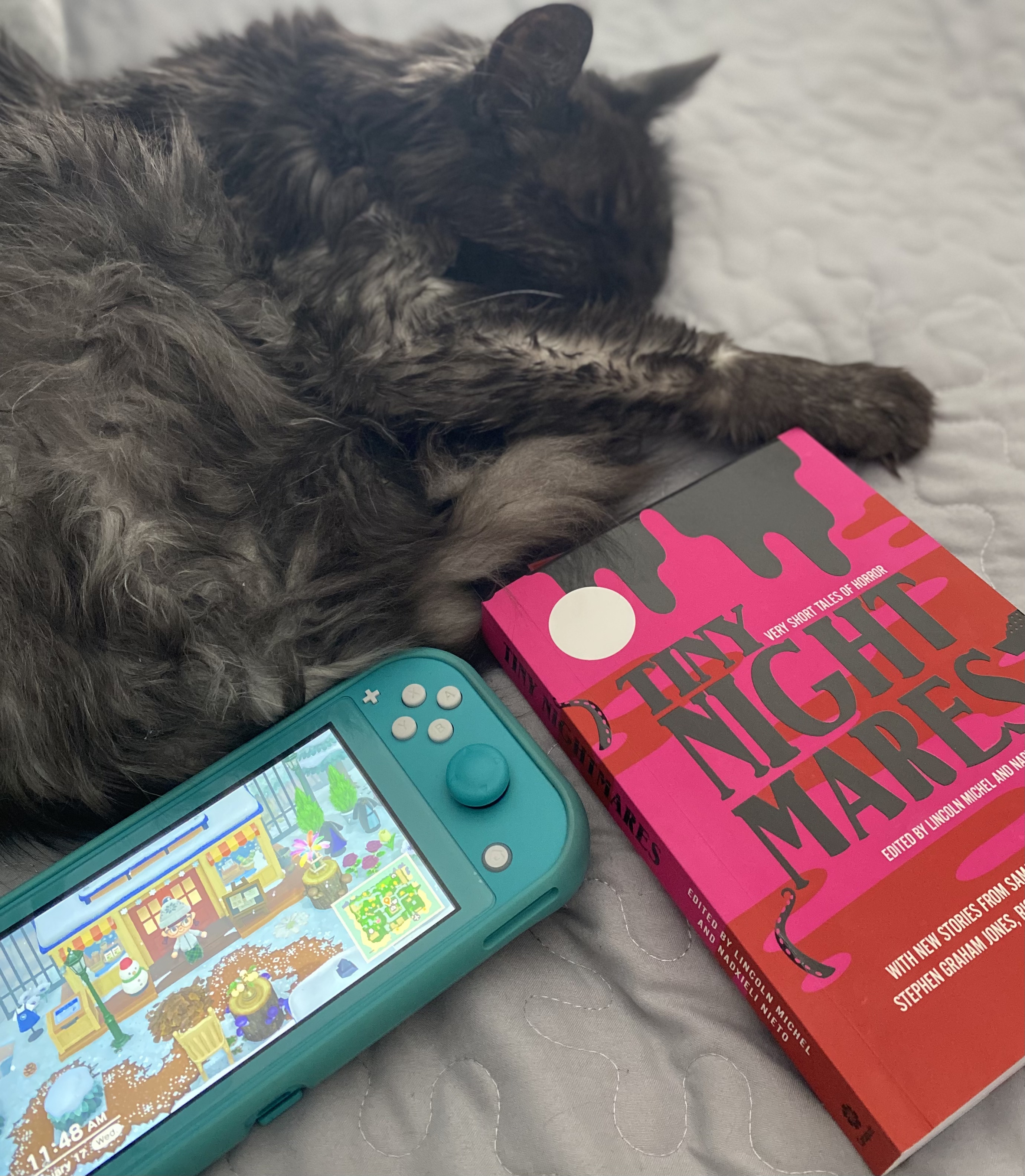 Tiny Pockets of Horror