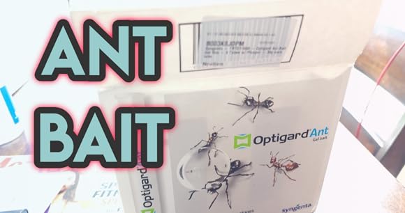 Amazon.com : Syngenta - TRTD11568 - Optigard Ant Bait Gel Box ...