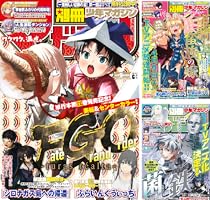 少年版 開目抄 上•下(2冊セット) 開目抄 全2冊 -聖教少年文庫-(創価学会教学部編) / 伊東古本店 / 古本