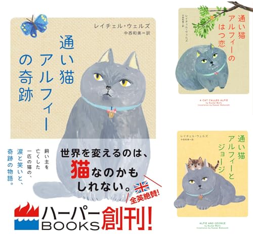 通い猫アルフィー