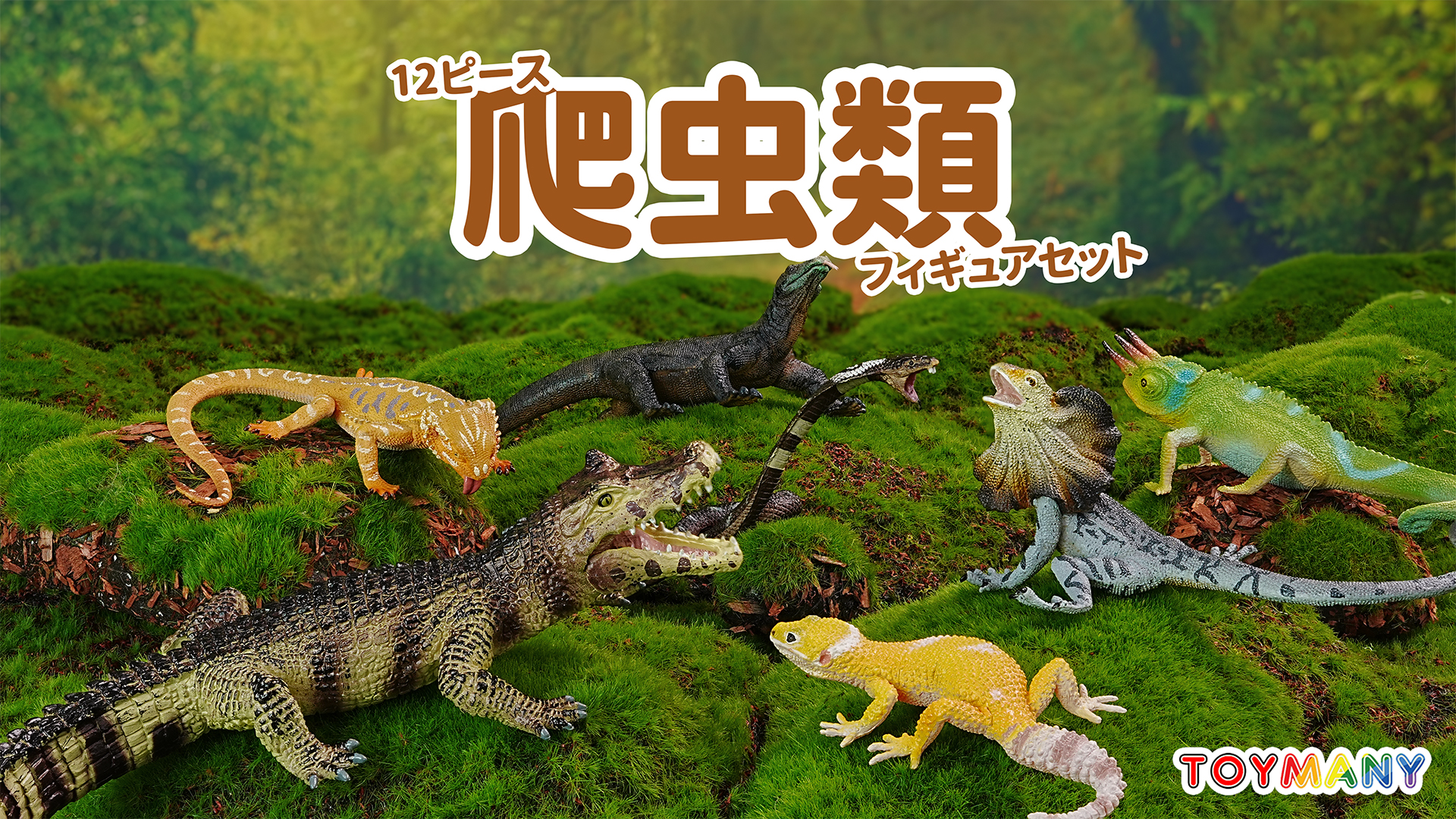 Amazon.co.jp: TOYMANY 12PCS動物フィギュア 野生動物フィギュアセット