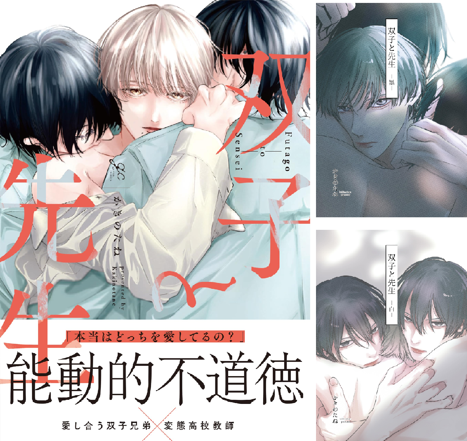 双子と先生 (全3巻) Kindle版