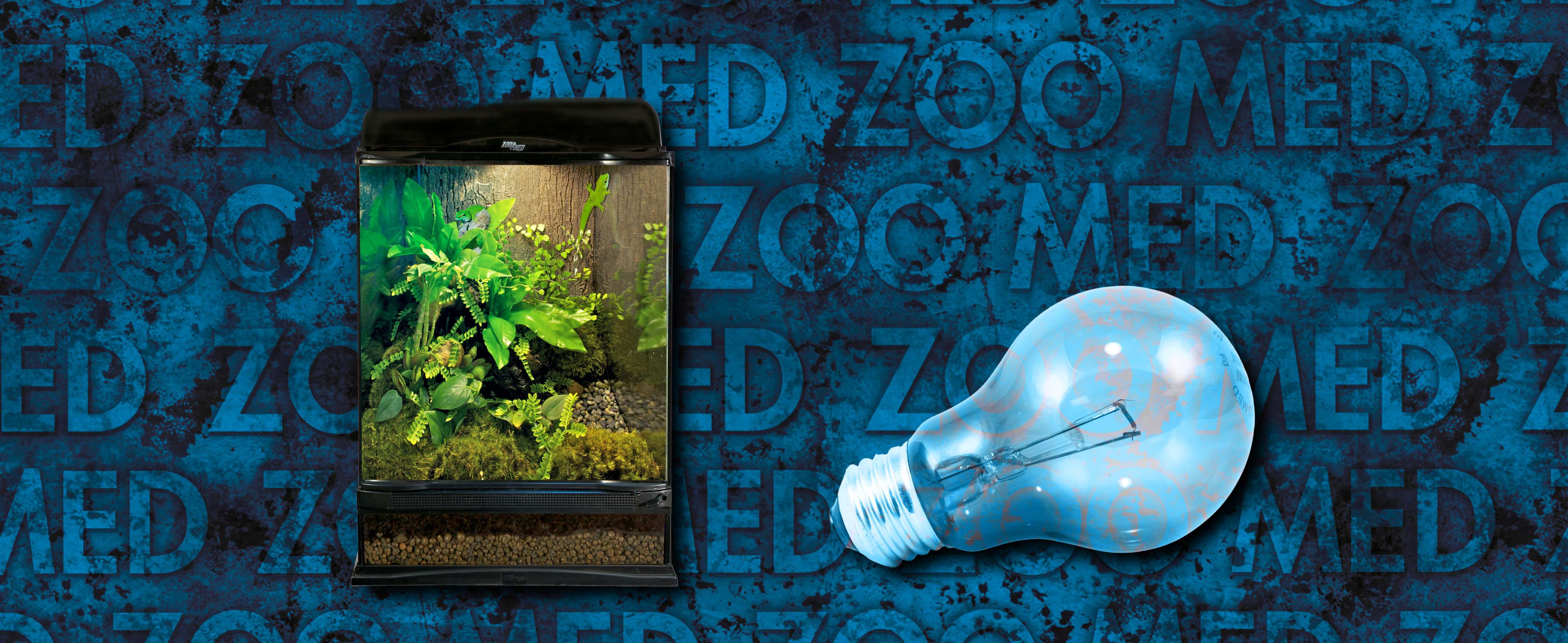 Amazon.com : Zoo Med Daylight Blue Reptile Bulb - 60 Watt : Pet