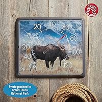 Vista 3 de Taylor Nature Series - Termómetro de esfera de alce para interiores y exteriores, decoración de pared fácil de leer para patio, piscina, patio