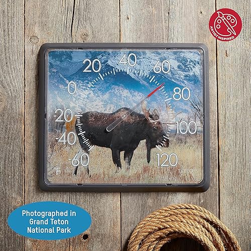 Miniatura 3 de Taylor Nature Series - Termómetro de esfera de alce para interiores y exteriores, decoración de pared fácil de leer para patio, piscina, patio,