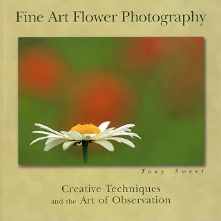 Fine Art Flower Photography