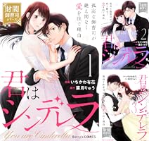 君はシンデレラ～孤高な御曹司が絶え間なく愛を注ぐ理由～【財閥御曹司