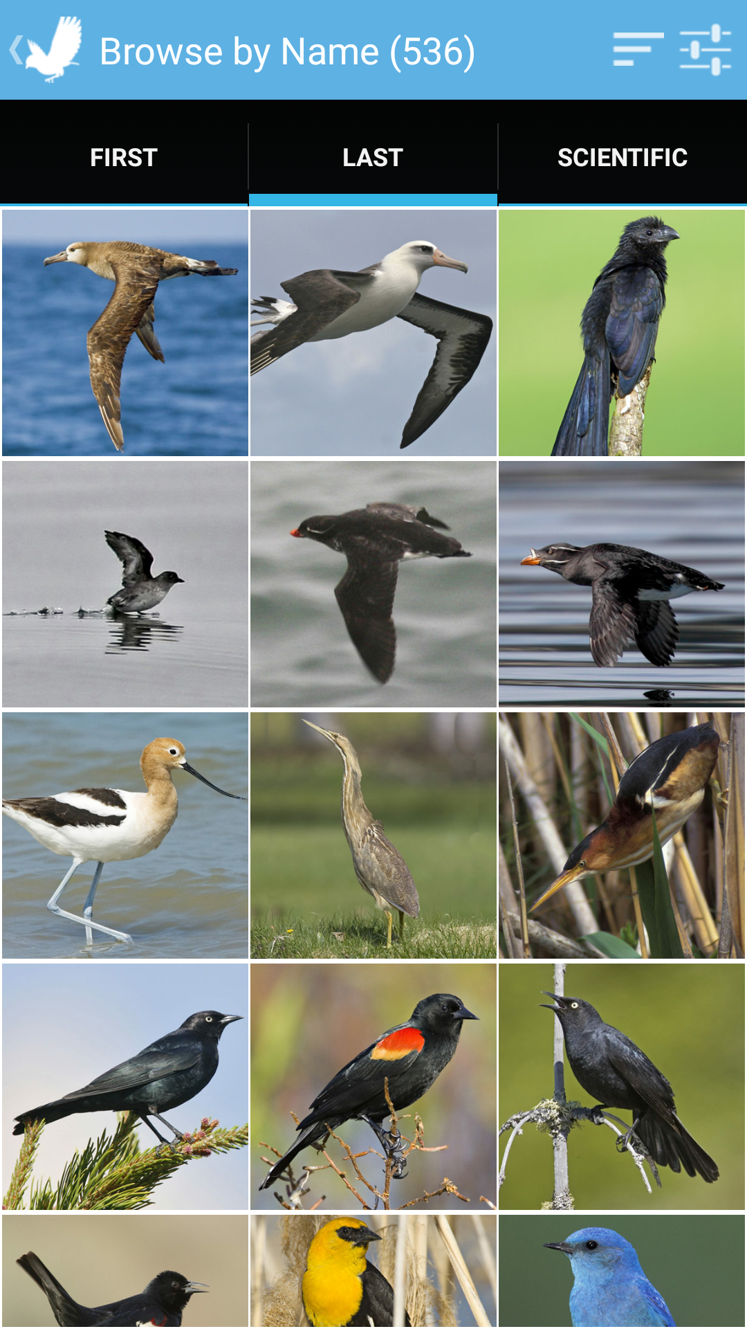 Audubon Bird Guide: California - App on Amazon Appstore