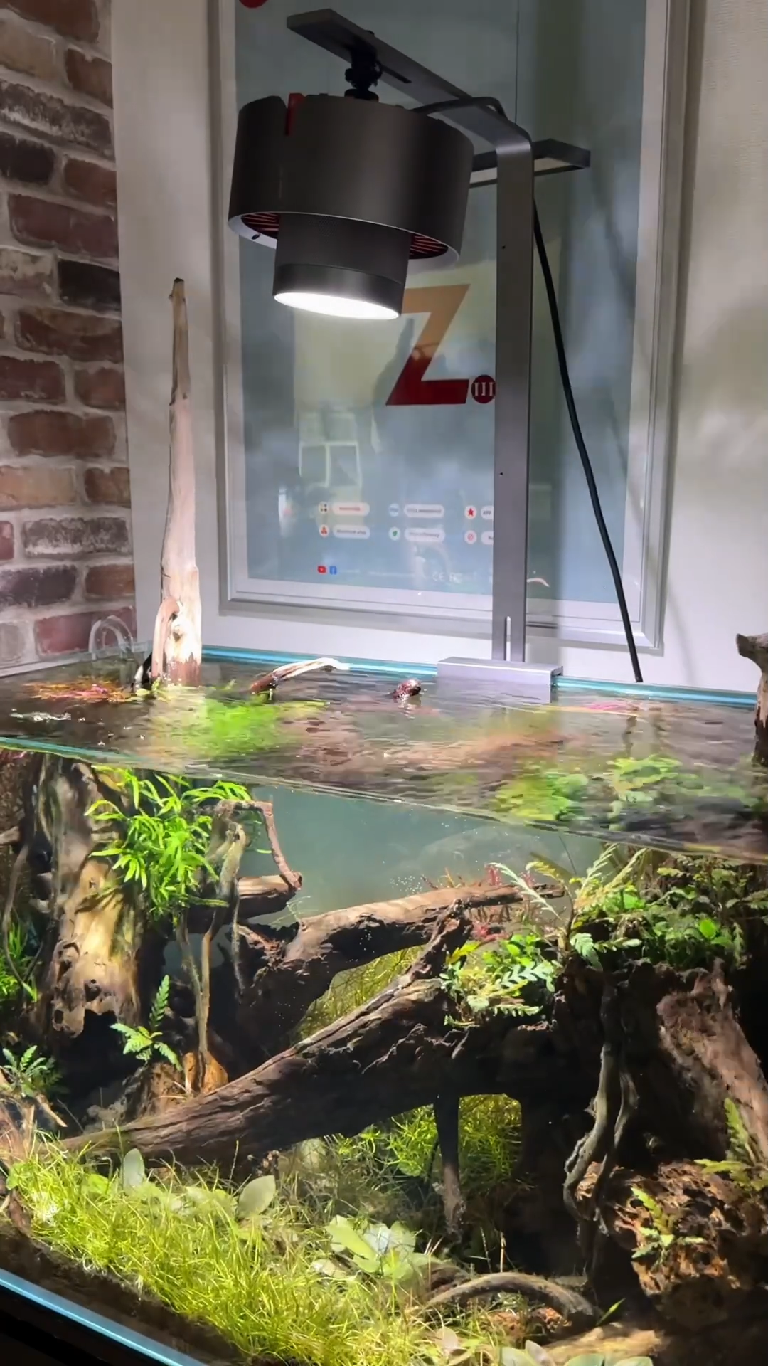 オ*論様 LEDSTAR TYNDALL チンダル 水草用スポットライト LEDSTAR TYNDALL 水草用スポットライト | アクアリウム用品,照明