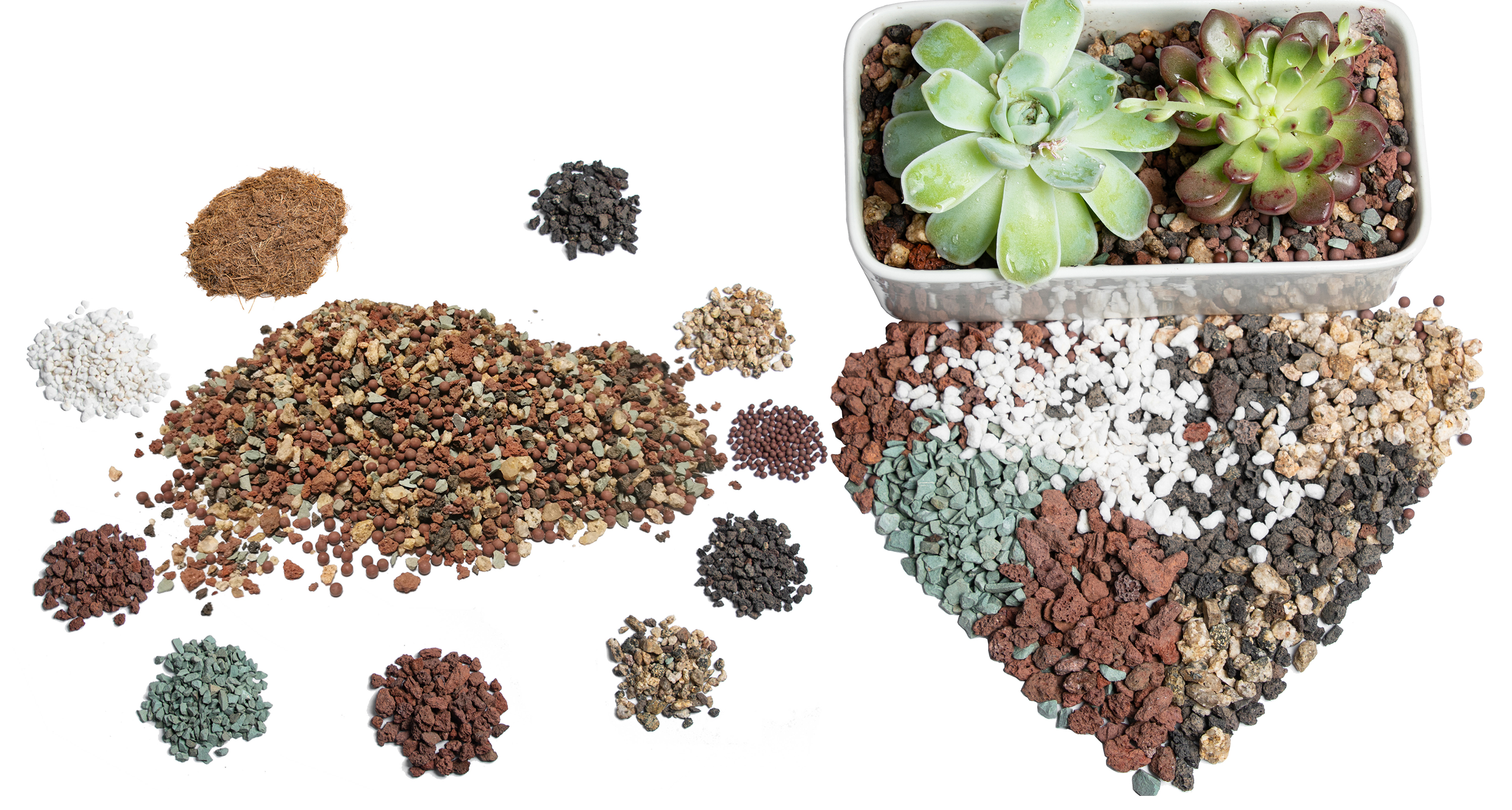 Amazon.com : Succulent Soil for Indoor Plants - Perlite Pumice ...