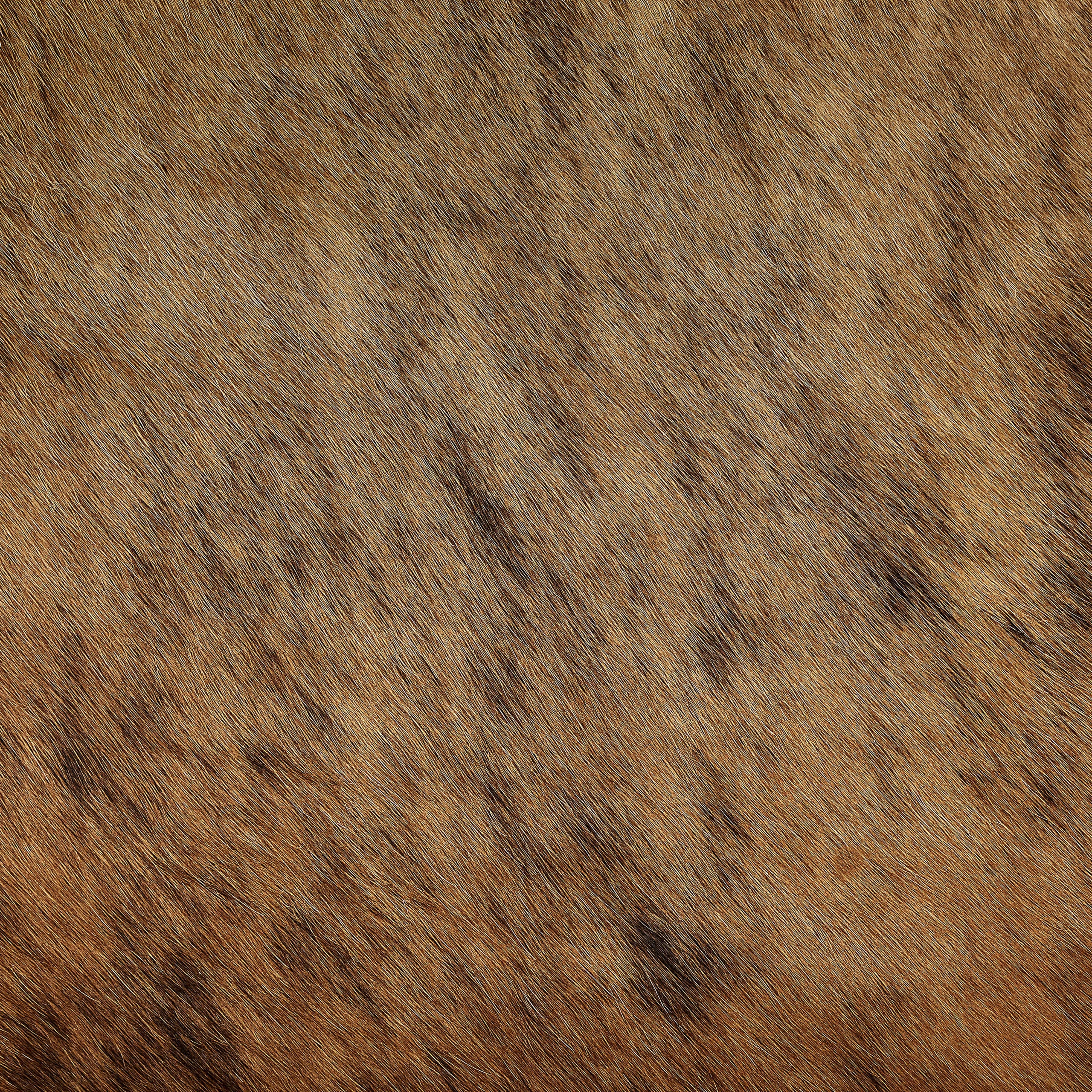 Grand Tapis En Peau De Vache Véritable Beliani – Taille 3x4 M, Forme Difforme Marron