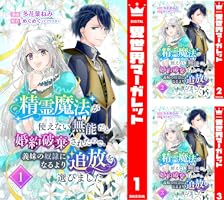 精霊魔法が使えない無能だと婚約破棄されたので、義妹の奴隷になるより  
