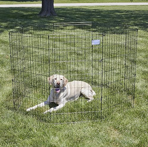 Miniatura 2 de MidWest Homes for Pets - Corral de ejercicio metálico plegable para perros, corral de juego interiorexterior sin puerta, proporciona 16 pies