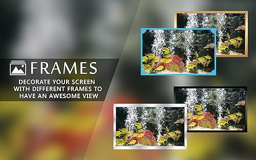 aquário pacífico gratuito HD - decore seu quarto com um belo aquário de vida marinha na sua TV HDR 4