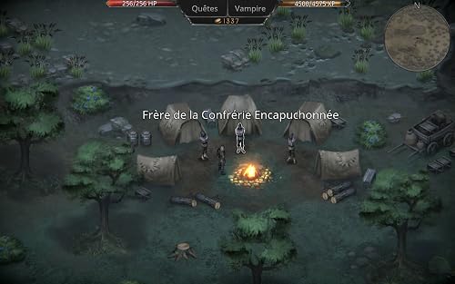 Vampire's Fall: Origins RPG – vue 7