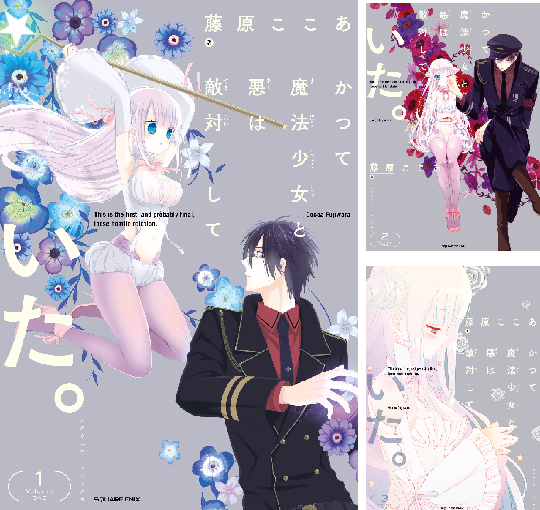 かつて魔法少女と悪は敵対していた。