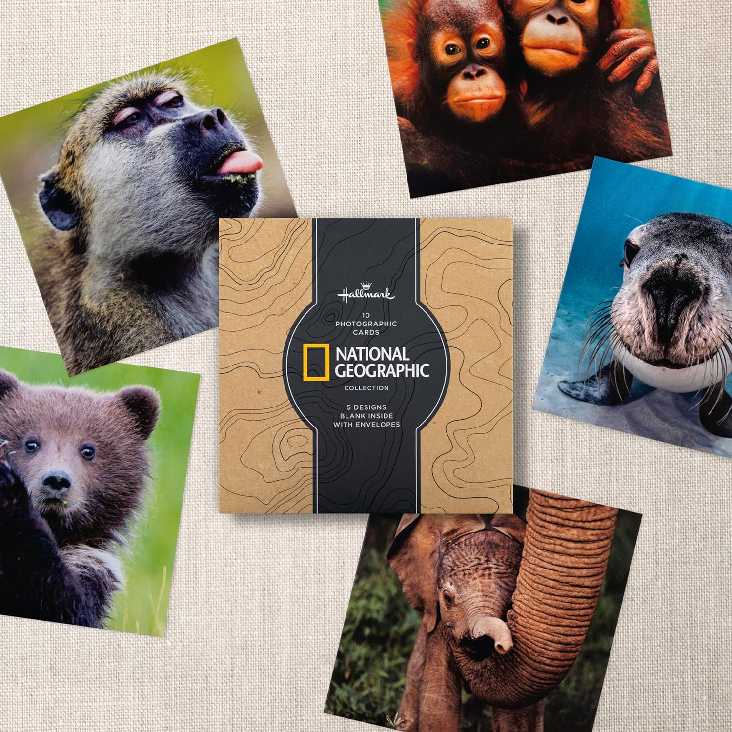 Hallmark Multipack Greeting Cards, National Geographic, Birthday Cards, Thank You Cards, Photographic Animals, Baboon, Elephant, Sea Lion, Orangutans, Bear Cub, Pack of 10, 5 Designs with Envelopes