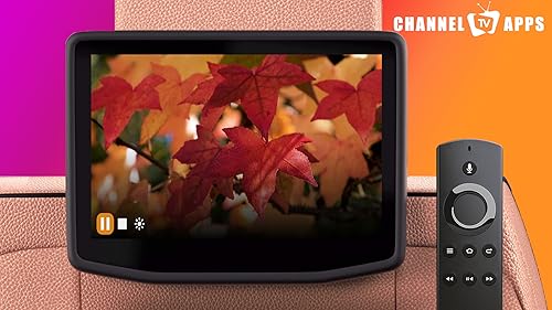 Cozy Early Morning Autumn Sounds | Crunchy Leaves & Peaceful Fall Music