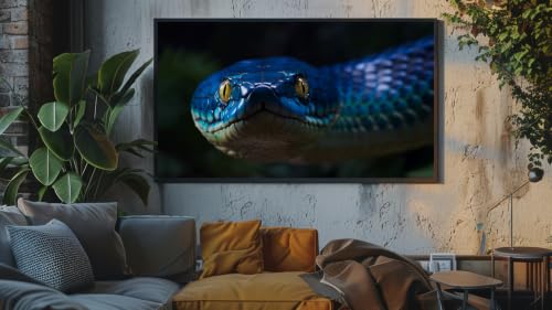 Musique d'ambiance relaxante - Gros plan sur un serpent mystérieux – vue 2
