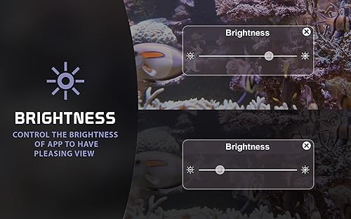 free deep fish tank HD - decore seu quarto com um lindo aquário ao vivo em sua TV HDR 4K, TV 8K e di
