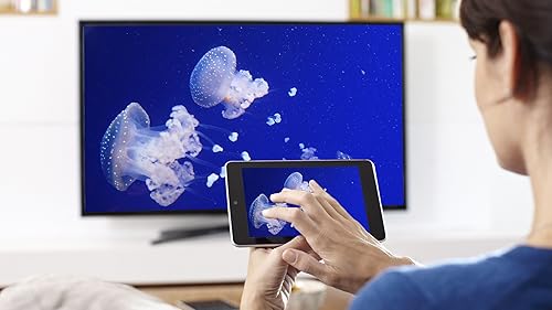 Água-viva aquário HD grátis - desfrute da água-viva na sua TV HDR 4K, TV 8K e dispositivos de fogo c