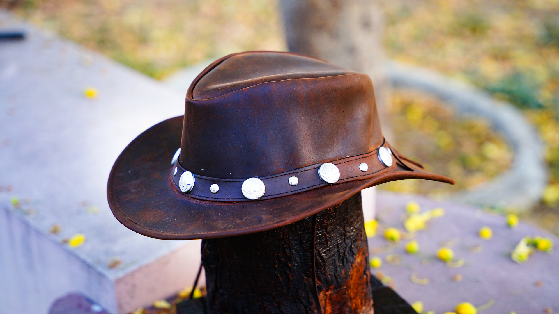 Lesa Collection Buffalo Coin Leather Cowboy Hat for Men and Women