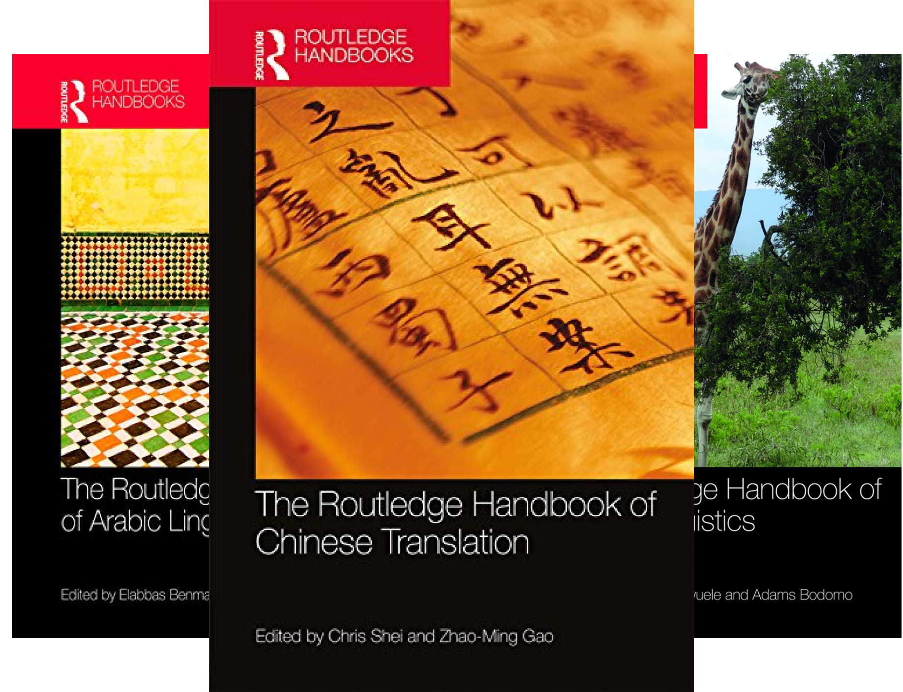 Routledge Language Handbooks (7 Book Series)