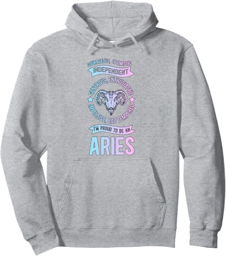 Be An Aries Zodiac Sign Aries Birthday Aries Astrology Pullover Hoodie