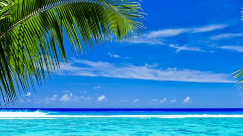 Поиск дешевых авиабилетов. Лучший способ купить авиабилеты дешево.