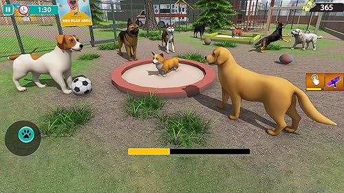 Ultimate Animal Shelter Simulator: Aventura de Resgate e Cuidados com Cães
